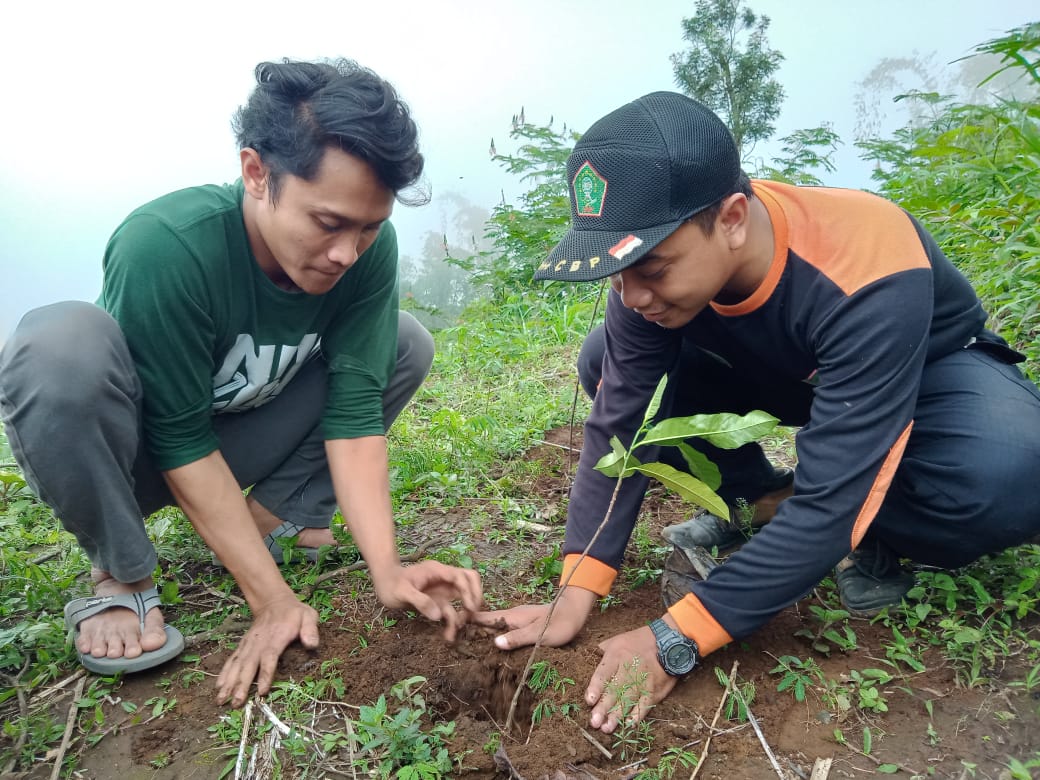 Cinta Alam, IPNU-IPPNU Kab. Pasuruan Tanam Pohon di MT. Suwati Tutur