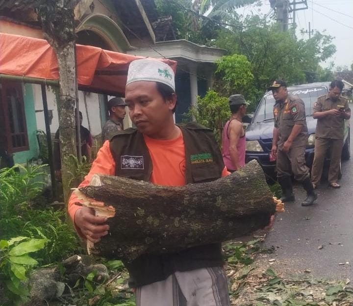 Gerak Cepat, Relawan LPBINU Pasuruan Bantu Evakuasi Pohon Tumbang