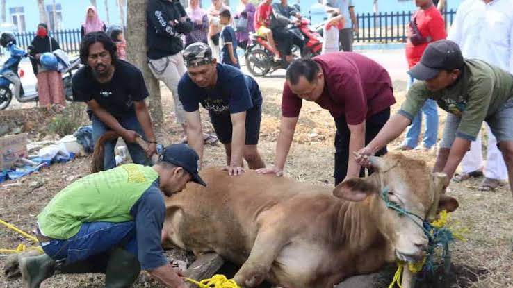 Hukum Berkurban Sekaligus Niat Aqiqah