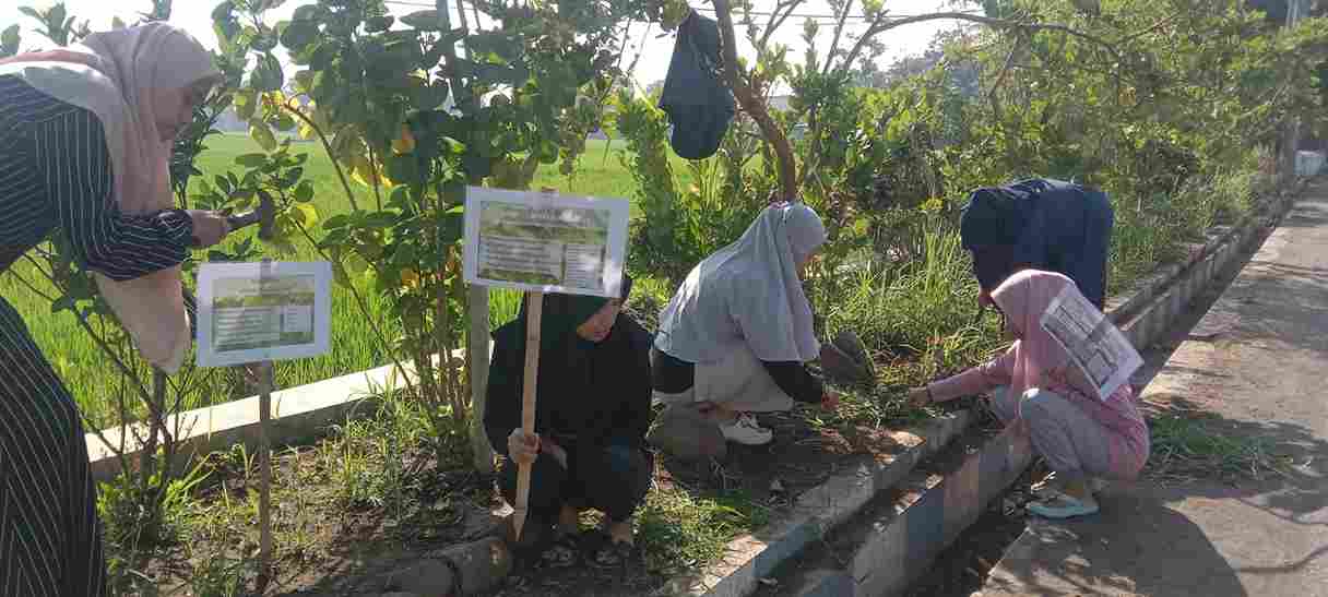 Optimalkan Taman, Mahasiswa STAI Salahuddin & UNU Pasuruan Tanam Toga