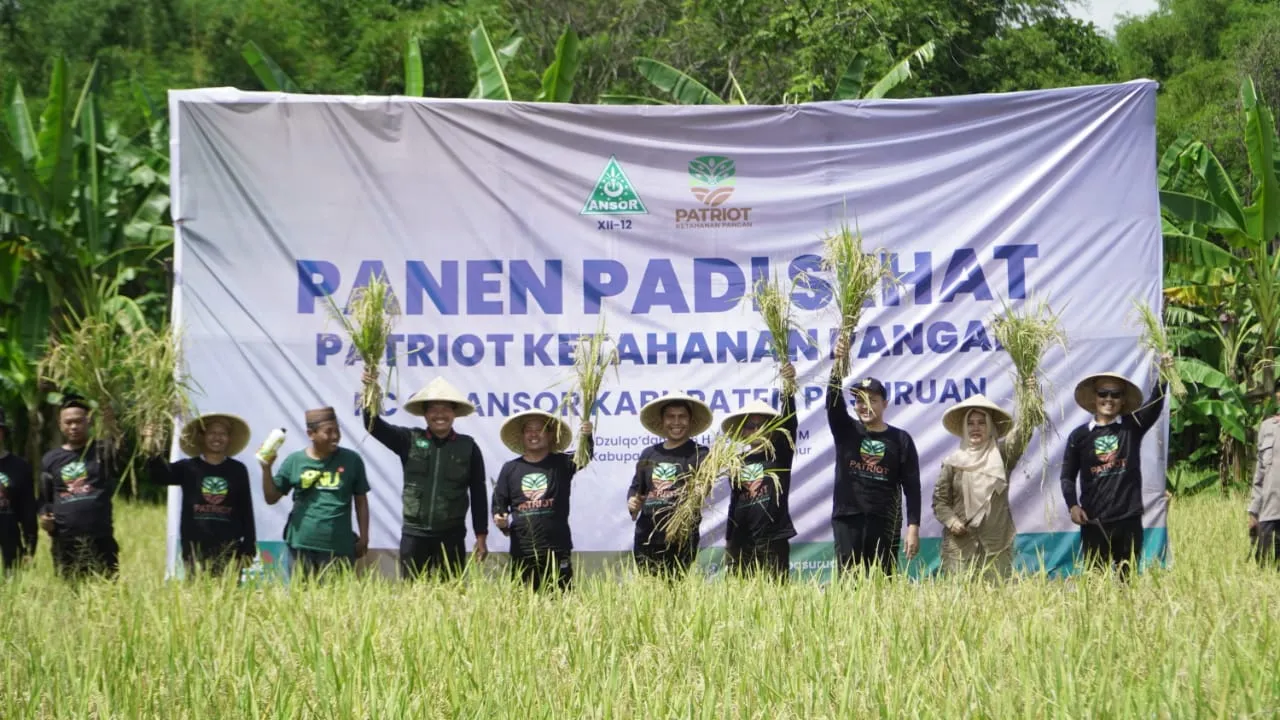 GP Ansor Pasuruan Targetkan Satu PAC Satu Ladang Padi Sehat Organik