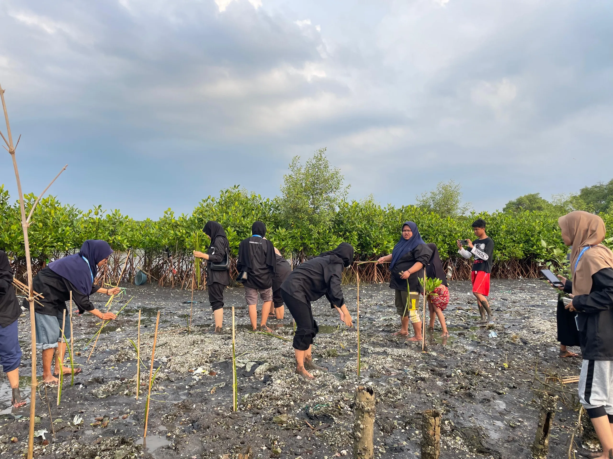 Peringati Hari Mangrove, Mahasiswa UNU Pasuruan Tanam 300 Bibit Mangrove di Pesisir Desa Kalirejo