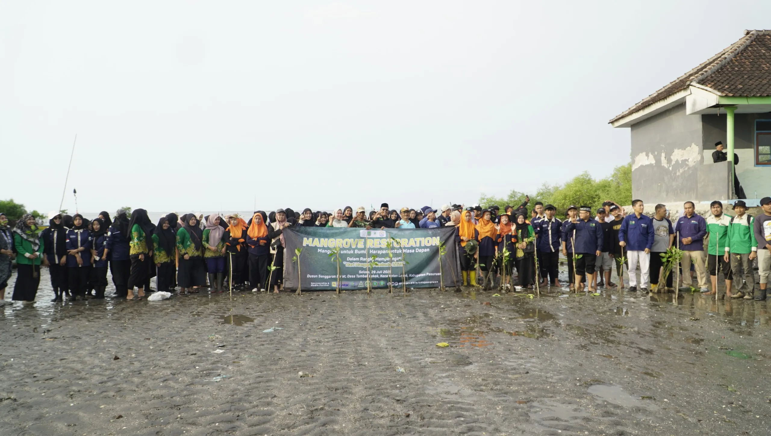 Peringati Hari Mangrove, UNU Pasuruan Tanam 2.500 Bibit Mangrove di Pesisir Tambak Lekok