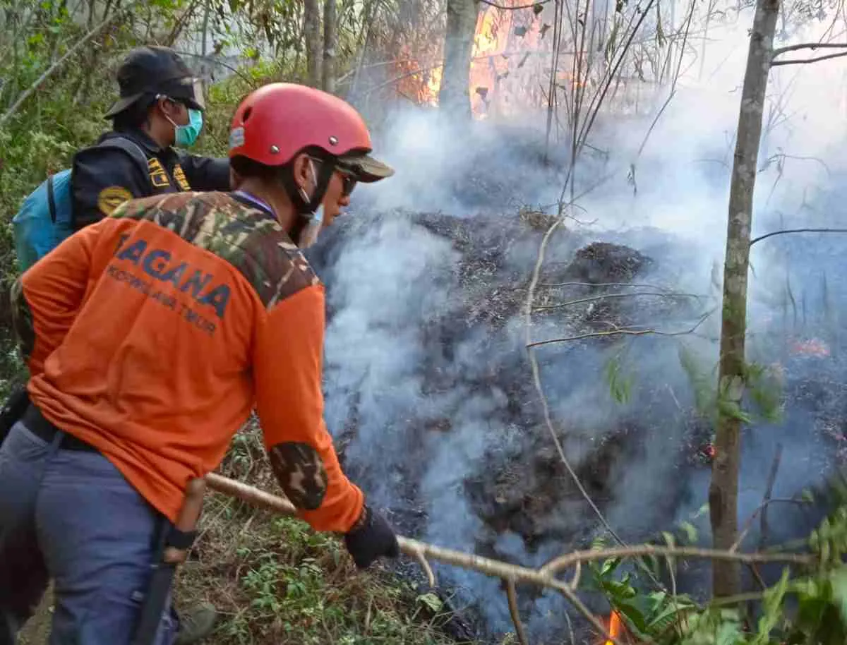 Berjibaku Padamkan Karhutla Arjuno, Ada Relawan Bagana Pasuruan Tertimpa Batu